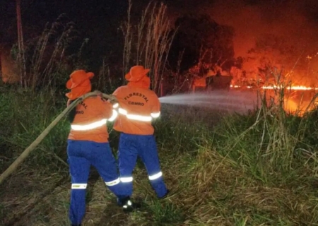 Situação de emergência por incêndio florestal cresceu 354% em agosto