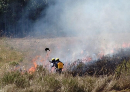 Bombeiros de Santa Catarina também auxiliarão equipes de MS no combate ao fogo no Pantanal