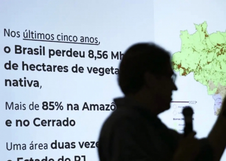 Brasil já perdeu 33% das áreas naturais de seu território