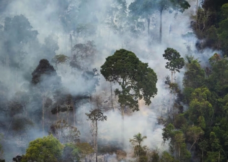 Incêndios em agosto devastaram vegetação nativa na Amazônia, Cerrado e Pantanal