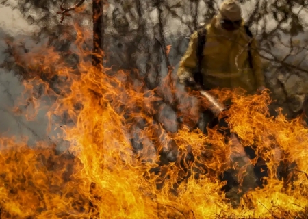 Entenda as linhas de investigação dos incêndios florestais no país