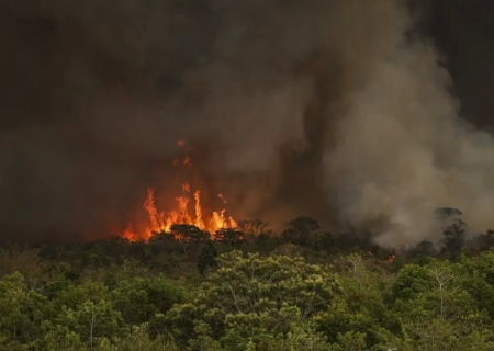 Incêndios podem ter afetado mais de 11 milhões de pessoas no Brasil