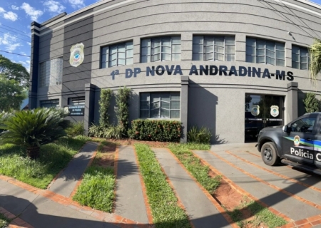 Com promessa de CNH gratuita, morador de Nova Andradina cede dados a estelionatários