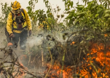 Brasil já registrou mais de 154 mil focos de calor este ano