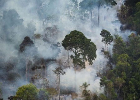 Emissão de gases do efeito estufa por queimadas na Amazônia cresce 60%