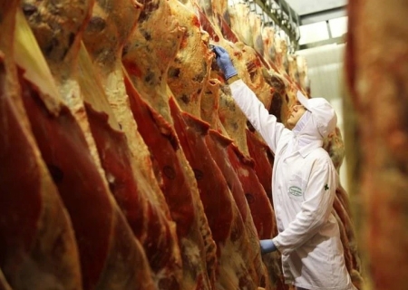 Boi: preços da carne no atacado atingem máximas do ano