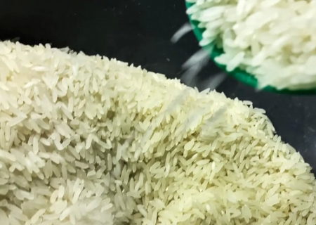 Conab vai doar sementes de arroz para agricultores familiares do RS