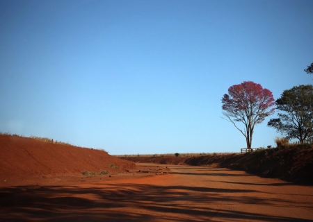 Com temperaturas acima da média e baixa umidade do ar, tempo permanece estável nesta terça-feira