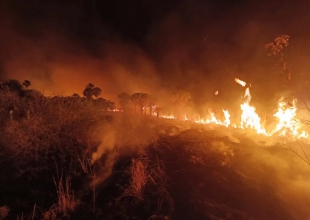 Situação de seca em MS intensifica incêndios florestais e trabalho de combate em todos os biomas