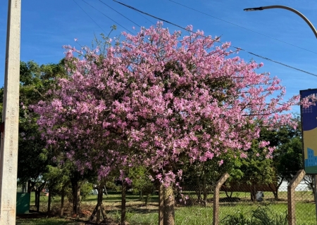 Final de semana tem previsão de tempo quente e seco em diversas cidades do Estado