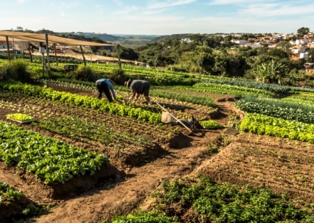 Com foco na gestão e na sustentabilidade, Sebrae oferece atendimentos gratuitos aos produtores rurais do sul de MS