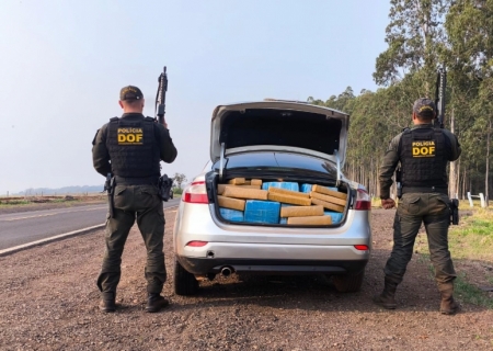 DOF apreende veículo com uma tonelada de maconha em Ponta Porã