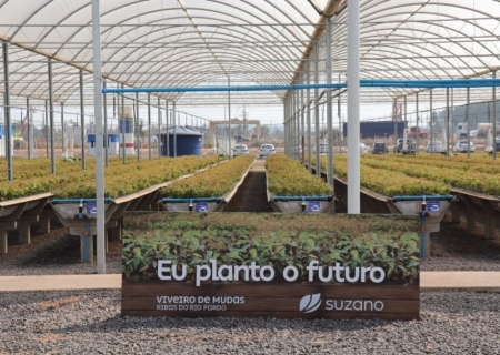 Gigante da celulose inaugura viveiro em MS e reforça diretriz estadual de sustentabilidade e inclusão social