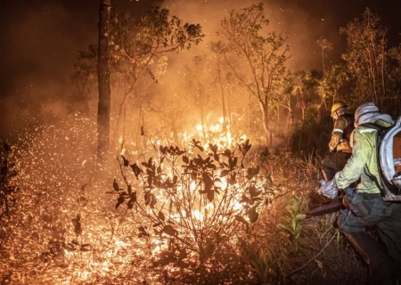 Manejo com fogo, contrafogo e queimada - entenda a diferença