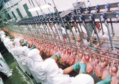 Carne de frango amplia competitividade frente a concorrentes