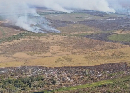 Emissão de gases por incêndios é recorde em dois estados