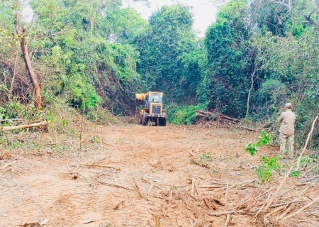 Defesa Civil de Batayporã trabalha no controle de incêndio em área de mata