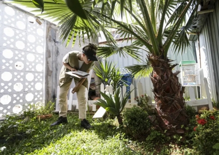 Prevenção de dengue deve ir além de mensagens sobre hábitos e cuidados