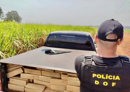 Mato Grosso do Sul intensifica combate ao tráfico e registra aumento de 33% nas apreensões de drogas