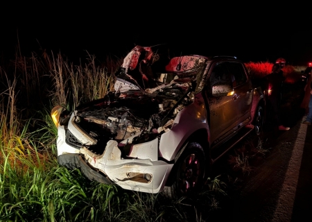 Égua atravessa pista e causa acidente com caminhonete ocupada por casal em Batayporã