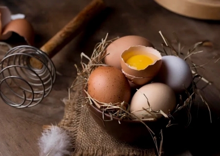 Dia Mundial do Ovo: saiba como esse alimento poderoso pode transformar sua saúde