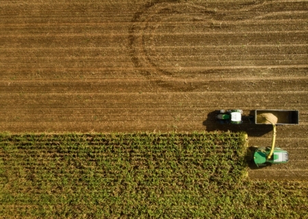 Salário de até R$ 60 mil no agro: veja quais regiões oferecem os melhores ganhos