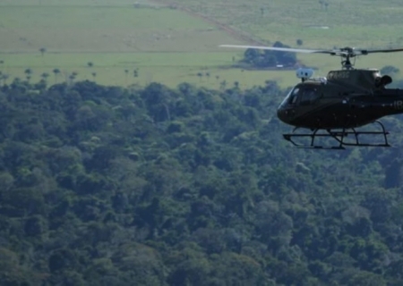 Desmatamento na Amazônia registra maior queda dos últimos 15 anos