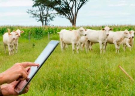 Sinal de telefonia móvel 4G pode chegar em áreas rurais