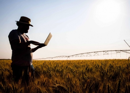 Dia Mundial da Agricultura: boas práticas geram sustentabilidade e oportunidades