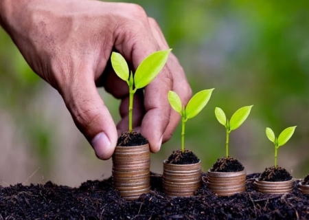 VBP da agropecuária deve alcançar R$ 1,51 tri e crescer 11,4% em 2025