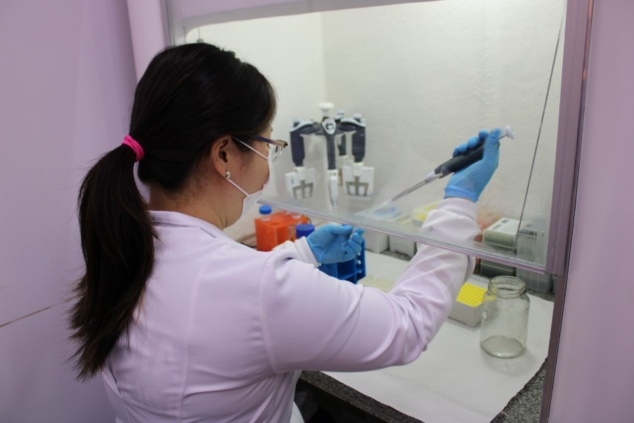 Exames de DNA feitos pela Polícia Científica ajudam a garantir identidade e cidadania em MS