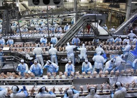 Receita com exportação de industrializados registra US$ 644,7 em maio