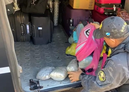 Adolescente de 16 anos é apreendida pelo DOF enquanto viajava com skunk em Ponta Porã
