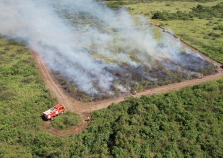 Governo de MS suspende queima controlada até novembro e amplia restrição no Pantanal para dezembro