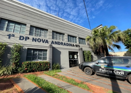 Gado invade lavoura de mandioca e causa prejuízo a produtor rural em Nova Andradina