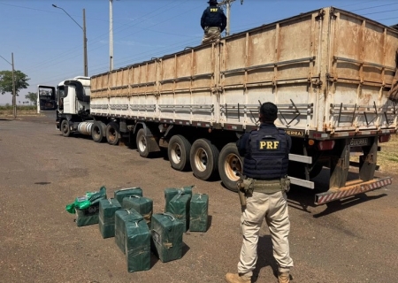 PRF apreende 329 kg de cocaína escondidos em carga de milho em Paranaíba