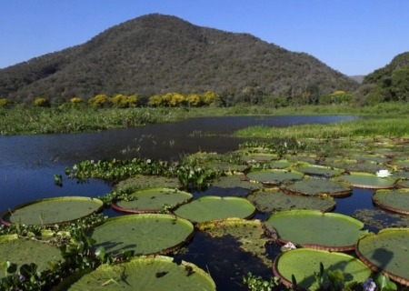 Pantanal ganha campanha internacional com a National Geographic para promover safáris sensoriais
