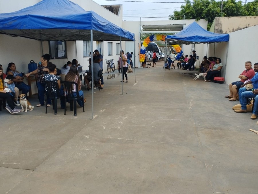 Caravana de Castração beneficia quase 200 animais em Taquarussu