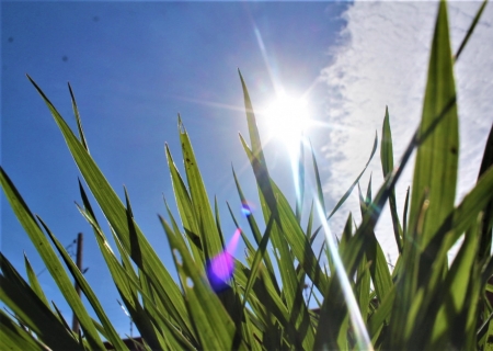 Outubro será marcado por calor intenso e chuvas irregulares em todo o Brasil