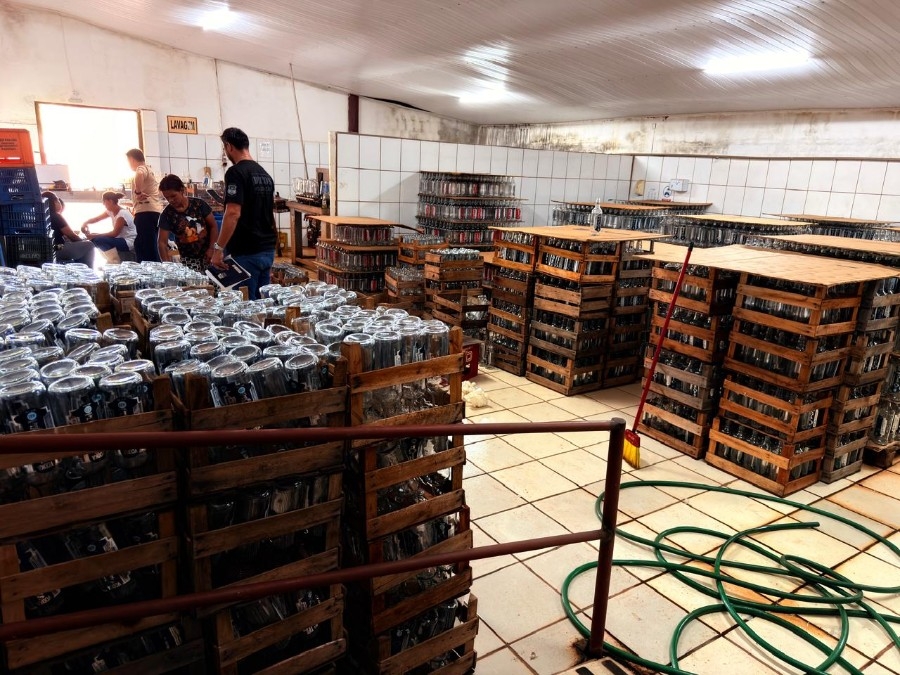 Fábrica clandestina de bebidas é interditada em Terenos durante operação conjunta da DECON e MAPA