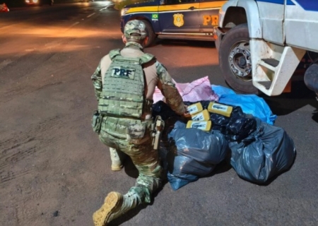 PRF apreende mais de 300 kg de cocaína e skunk em Terenos