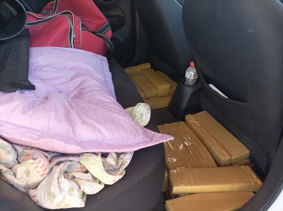Polícia Militar apreende mais de meia tonelada de maconha e causa prejuízo superior a R$ 1 milhão ao tráfico em Amandina