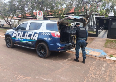 Homem é detido por descumprir medida protetiva em Ivinhema