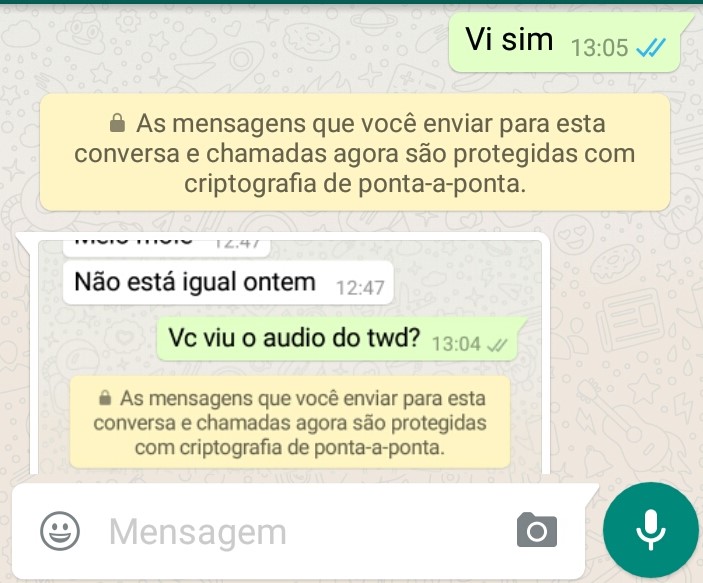 Saiba o que significa o cadeado que agora aparece no WhatsApp - Foto: Reprodução