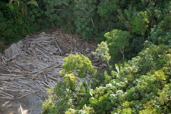 A maioria das áreas desmatadas estão em terras privadas (61%) , seguida pelos assentamentos (15%) e terras indígenas (2%) – Foto: Arquivo/Agência Brasil