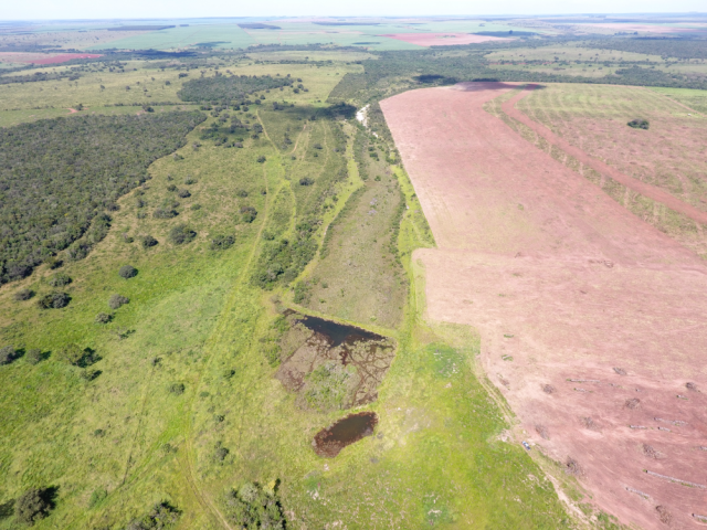 Área verde abriga nascentes preservadas em Chapadão do Sul econvive com pastos e áreas destinadas à lavoura - Foto: Divulgação/MPE