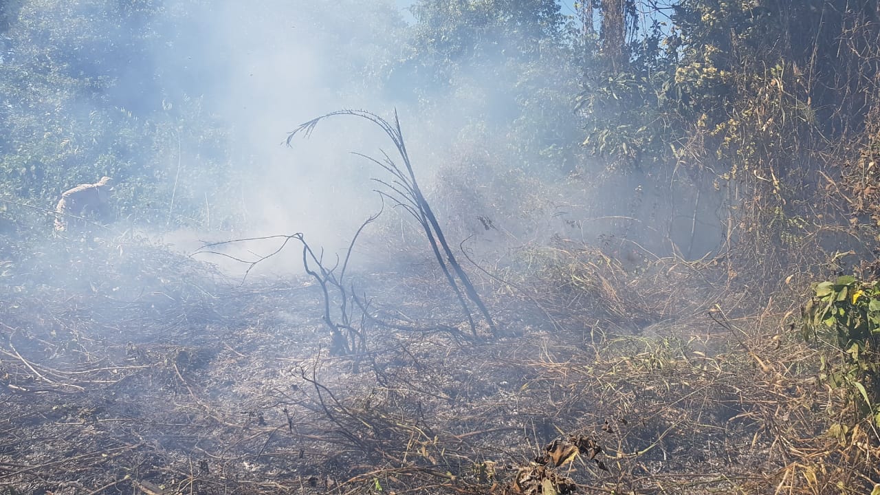 Equipe dos Bombeiros em combate a incêndio no Pantanal - Foto: Divulgação