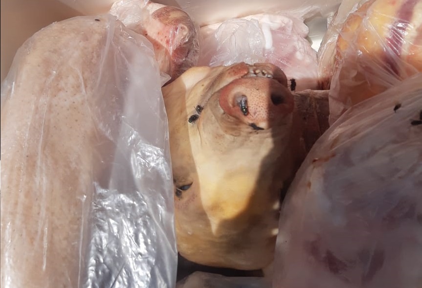 Carne encontrada no açougue imprópria para consumo - Foto: Polícia Civil/Divulgação