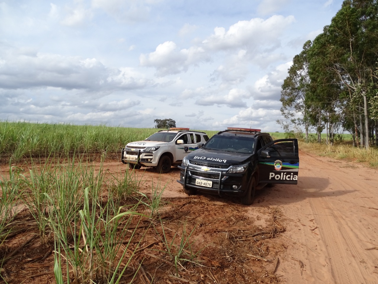 Vítima foi encontrada numa área de plantação de cana - Foto: Jornal da Nova