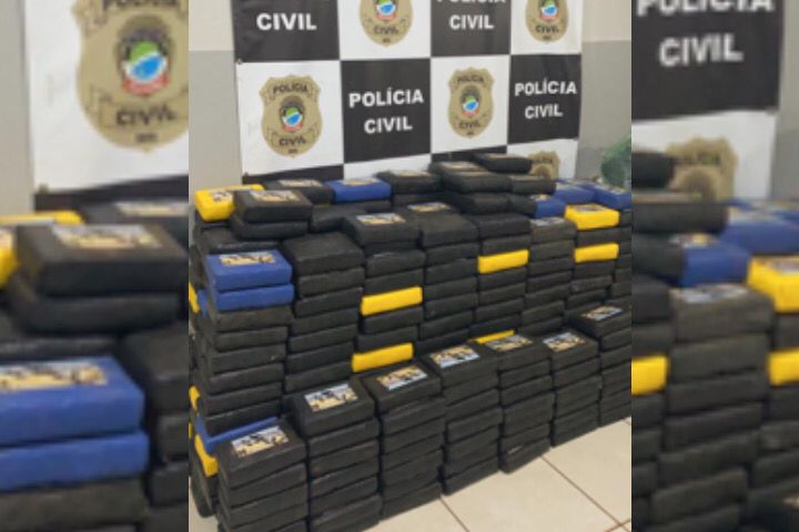 Ao todo, foram 461 quilos apreendidos - Foto: Polícia Civil/Divulgação 